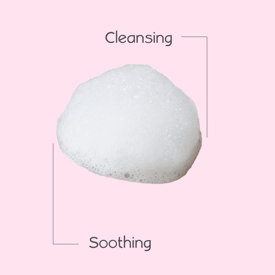 Foaming Feminine Wash |For Intimate Areas |Self-Foaming Pump |pH Balanced |Cleanses and Refreshes |Made with Natural and Organic Ingredients |Dermatologist & Gynecologist Tested |(6.7 fl.oz / 200ml)