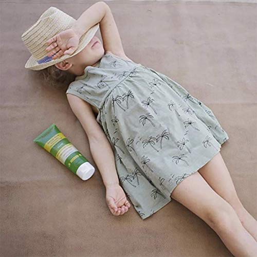 Babo Botanicals Aloe Vera Gel After Sun Soother, 8 oz