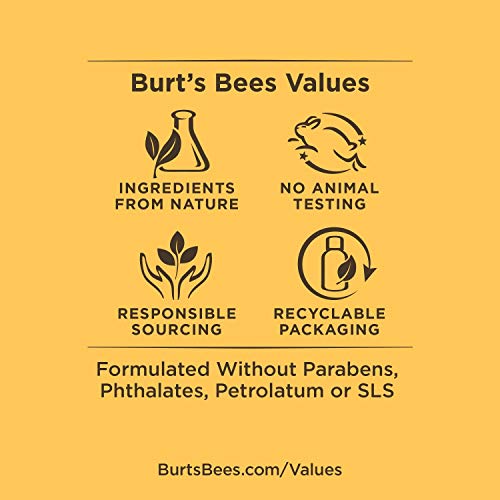 Burt's Bees 100% Natural Facial Cleansing Oil for Normal to Dry Skin, 6 Oz (Package May Vary) (Pack of 2)