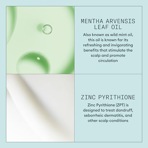 Nioxin Scalp Recovery Purifying Shampoo for Itchy, Flaky Scalp