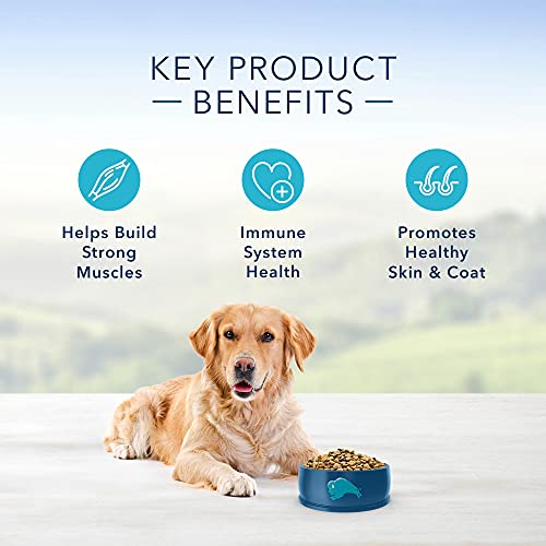 Blue Buffalo Life Protection Formula Adult Dry Dog Food, Helps Build and Maintain Strong Muscles, Made with Natural Ingredients, Beef & Brown Rice Recipe, 5-lb. Bag