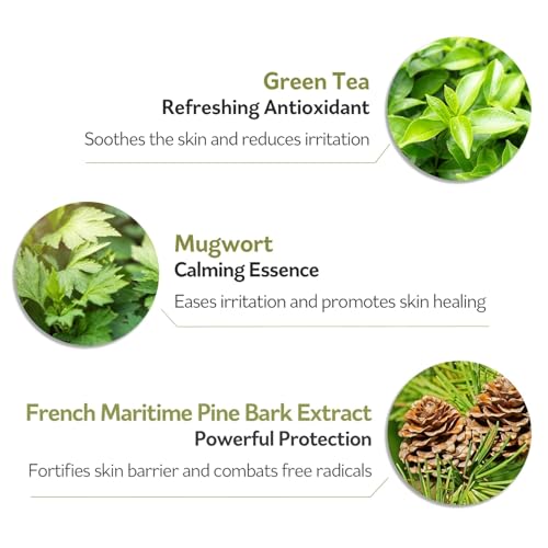 PESTLO Spicule Reborn Exfoliating Peeling Mask for Korean Glass Skin ? Natural Marine Spicules, Green Tea & Wormwood for Gentle Exfoliation, Pore Care, Hydration & Radiant Skin, 4.23 oz (120ml)