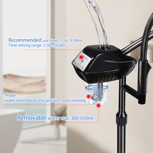 Professional Facial Steamer with 5X Magnifying Lamp