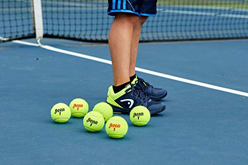 Penn Championship Tennis Balls - Extra Duty Felt Pressurized Tennis Balls 3 Count(Pack of 12)