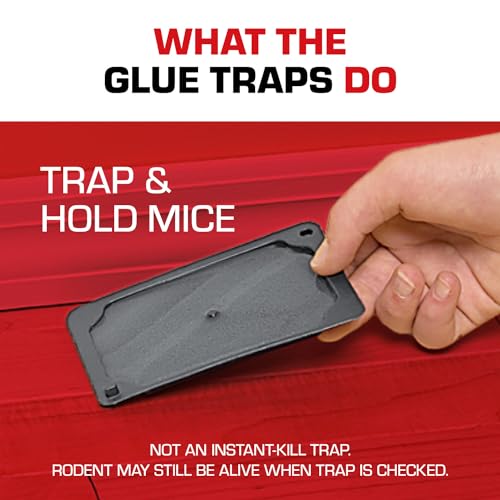 Tomcat Glue Traps Mouse Size with Eugenol for Enhanced Stickiness, Contains 6 Mouse Size Glue Traps - Captures Mice and Other Household Pests - Professional Strength, Pesticide-Free and Ready-to-Use