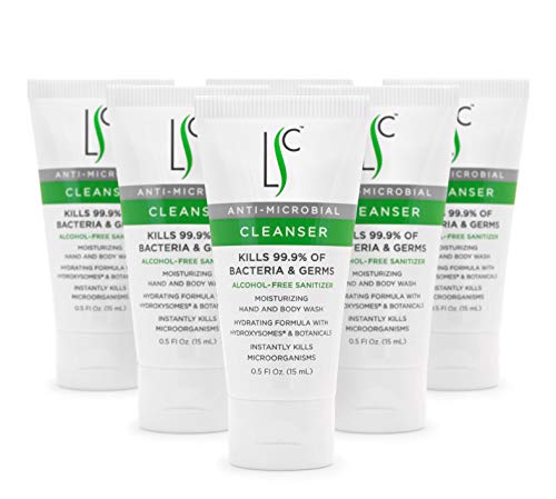 LABORATORY SKIN CARE | Hand and Body Wash Cleanser For Adults and Children with Sensitive Skin, Unscented, Sanitizing Foaming Gel, 0.5 oz (6 Pack)