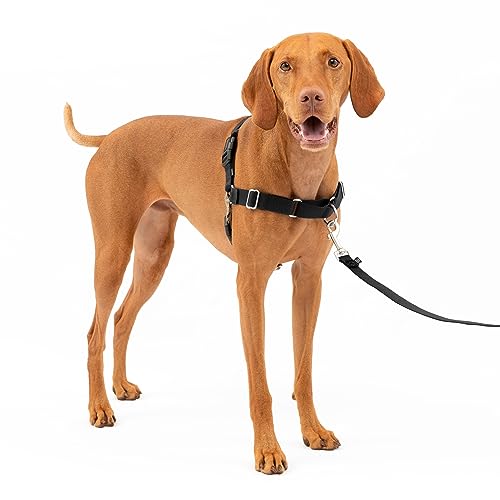 PetSafe Easy Walk No-Pull Dog Harness - The Ultimate Harness to Help Stop Pulling - Take Control & Teach Better Leash Manners - Helps Prevent Pets Pulling on Walks, Medium, Black/Silver