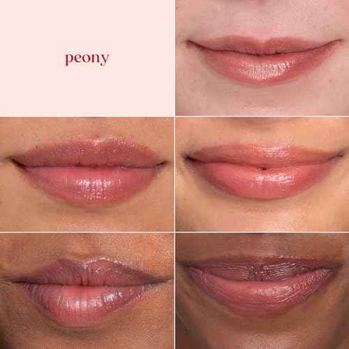 Burt's Bees Shimmer Lip Tint Stocking Stuffers Set, Moisturizing for All Day Hydration with Natural Glowy Pigmented Finish & Buildable Color, Peony (4-Pack)