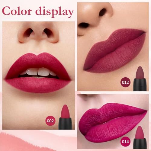 evpct 3-Piece Velvet Matte Lipstick Set - Plum Purple & Wine Red