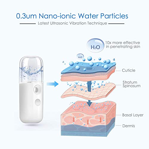 GIVERARE Nano Facial Steamer, USB Rechargeable Mist Sprayer 30ml