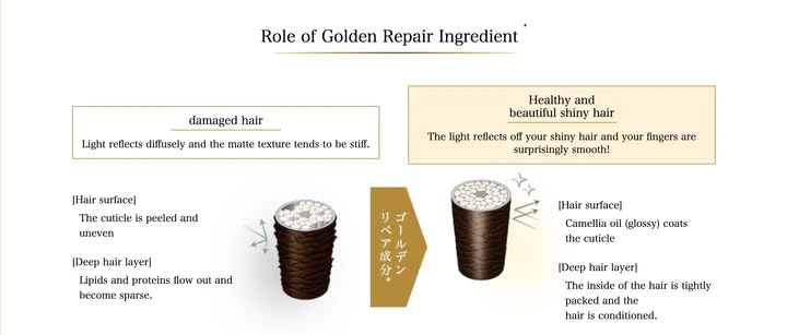 Tsubakii Premium Intensive Repair Shampoo & Conditioner Set 400ml + 400g
