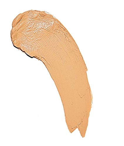 Makeup Revolution Fast Base Stick Foundation F8