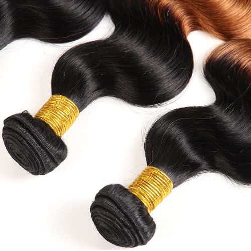 Fridnae Ombre Brown #1B30 Body Wave Human Hair Bundles 24-28 Inch Set