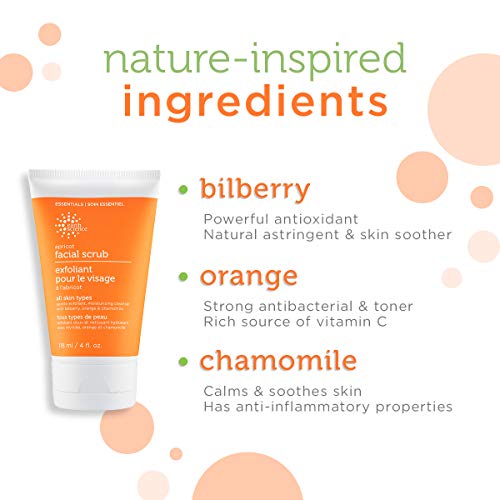 EARTH SCIENCE - Apricot Gentle Exfoliating Facial Scrub for All Skin Types (3 pk, 4 oz.)