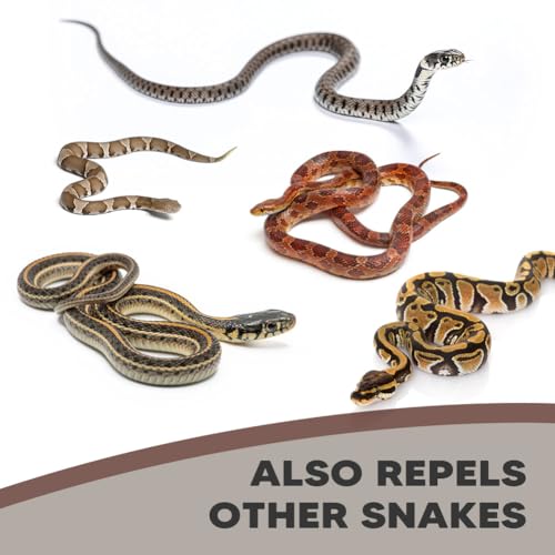 XLCKODY Snake Repellent Balls - 10 Pack for Yard & Garden