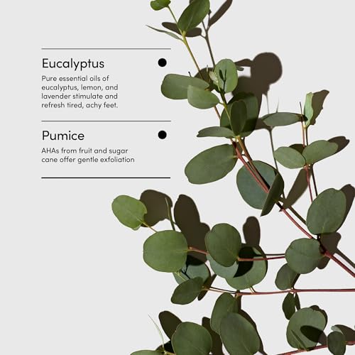 LATHER Eucalyptus Exfoliating Foaming Foot Scrub with Pumice - 4 oz