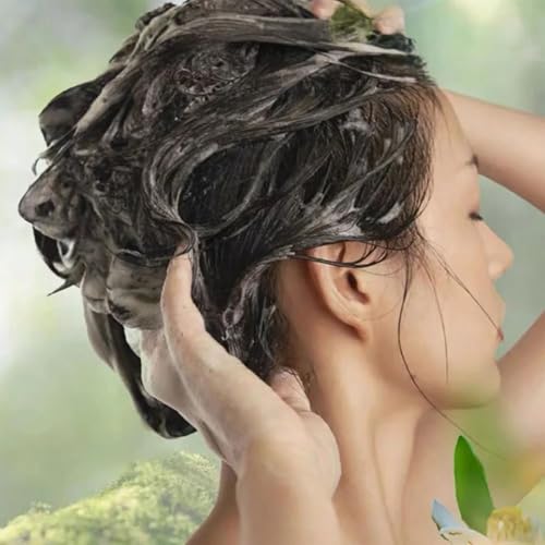 Plant-Based Hair Dye Shampoo - Long-Lasting Natural Black Gray Coverage