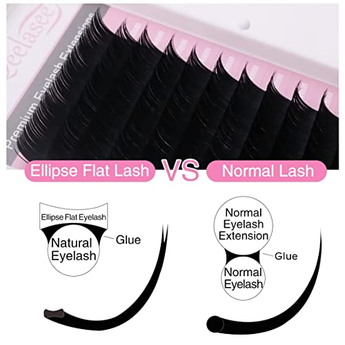 Ellipse Eyelash Extension 0.20 CC Curl 12mm Flat Eyelashes False Mink Individual Eyelash Extension Professional Salon Used by Qeelasee