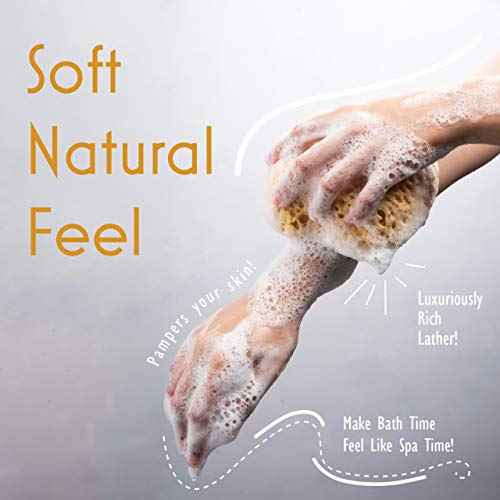 myHomeBody Bath Sponge, Foam Loofah, Body Scrubber for Bathing, Exfoliating Shower Pouf for Shower ? Large Size, Lots of Lather, Curvy, 2 Pack