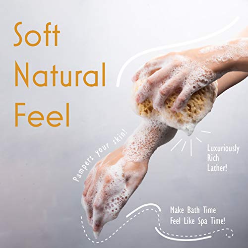 myHomeBody Foam Loofah Sponge, 2 Pack Large Size