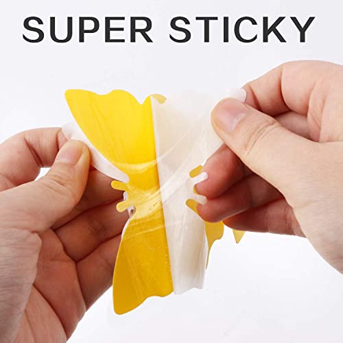 Mosqueda 36 Pack Yellow Sticky Fruit Fly & Gnat Traps for Indoor & Outdoor Plants