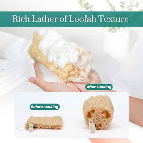 Natural Loofah Sponge, 5?Pack (6") Exfoliating Body Scrubber for Shower, Luffa Sponge, Bath & Kitchen ? Plant-Based