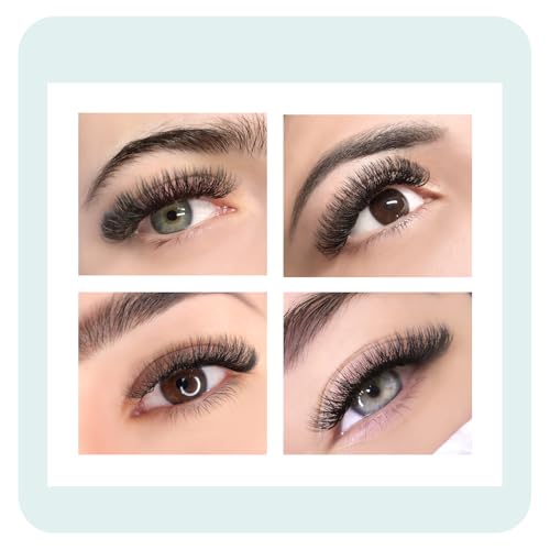Double Tips 4D W Premade Fan Eyelash Extensions Volume Self Fanning False Lashes Faux Mink Matte Black Cluster Lash Extensions(0.07 D,8-15mm Mix)