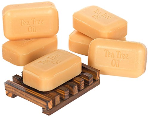 SOAP WORKS Tea Tree Oil Soap Bar, 6 Count with Free Soap Works Natural Wood Soap Dish