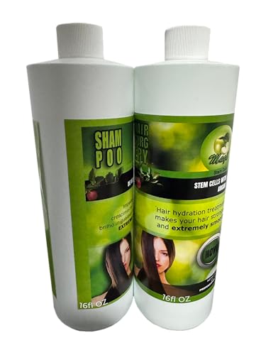 KERA FRUIT Stem Cell & Argan Hair Treatment Set - Natural Hair Smoothing & Growth 16oz + Shampoo 32oz