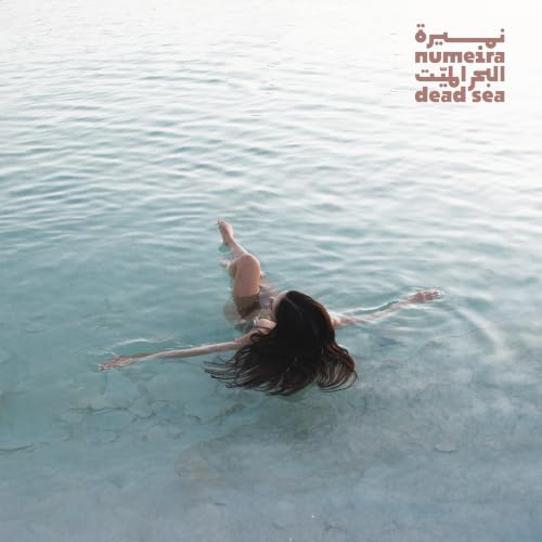 Dead Sea Mud Powder 1kg - Pure Mineral Clay for Face & Body