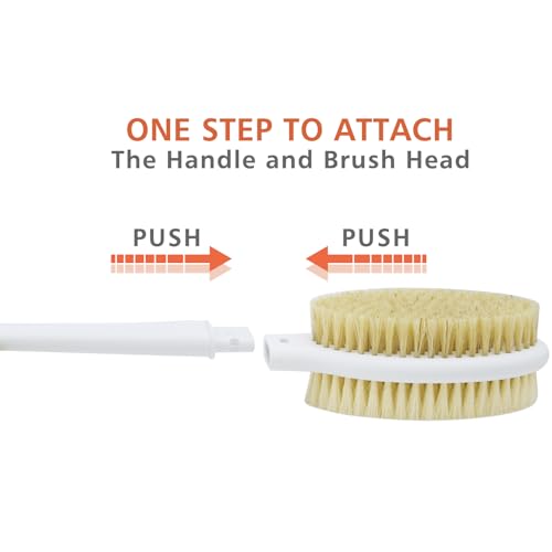 20.5" Long Handle Back Scrubber Shower Brush with Dual Bristles