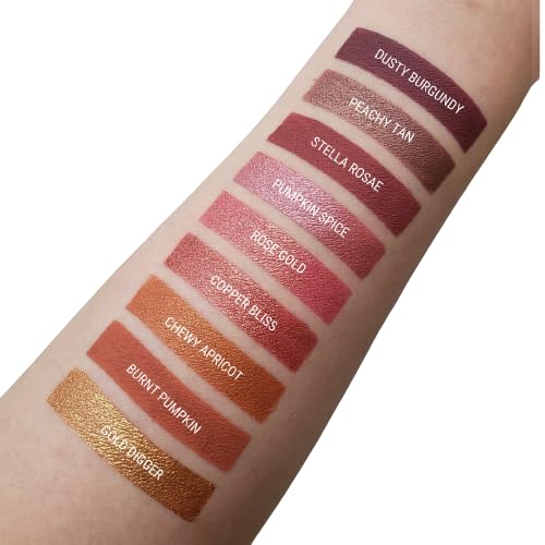 Aromi Rosy Chestnut Matte Liquid Lipstick | Warm, Earthy Rose Lip Color, Vegan, Cruelty-free, Smudge Proof + Long-Lasting Lipstick (Stella Rosae)