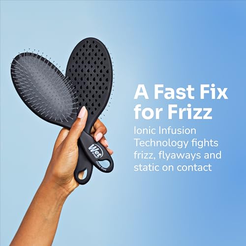 Wet Brush Frizz-Free Detangler Brush with Ionic Technology - Black