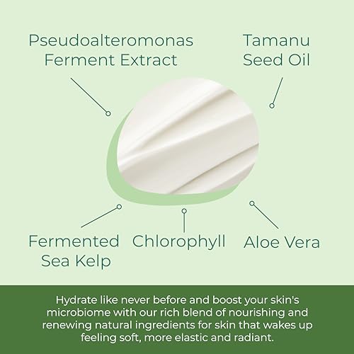 Sea-El Kelp Tamanu Oil Night Cream Hydrating Face Moisturizer Reparative Skin Softening Skincare - Nighttime Anti Aging Facial Lotion for Women & Men - 1 Oz