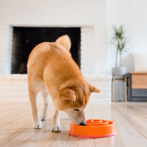 Outward Hound Fun Feeder Slow Bowl in Orange Plastic for Dogs