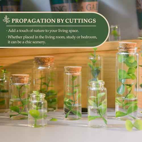 JIUYUE 55 pcs 20 ml Glass Bottle Cork Mini,Jars with Cork Lids (0.7 oz-1.18x1.97 inch)