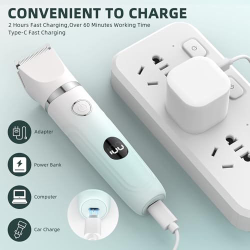 Bikini Trimmer for Women,3-in-1 Electric Shaver for Women,Rechargeable Painless Pubic&Facial Razor for Sensitive Skin,Lip,Arms,Legs with LED Display (Gradient Green)
