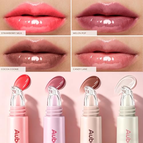 Aubelnmay Hydrating Lip Gloss Set - 4 Shades, Glass Finish Lip Jelly
