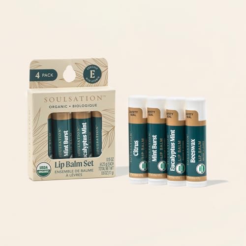 Organic Lip Balm Set, 4 Flavors - Moisturizing for Cracked & Dry Lips (Pack of 2)