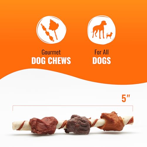 Good 'n' Fun Kabobs Dog Chews, Beef Hide & Chicken, 24 oz