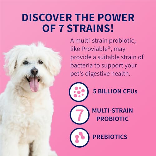 Nutramax Proviable Probiotics for Dogs & Cats, 30 Capsules
