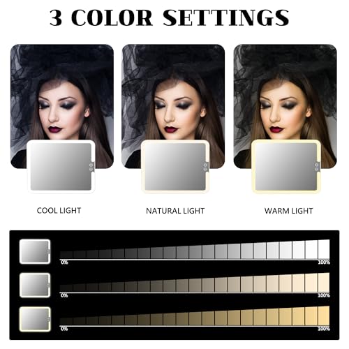 Makeup Bag with Led Mirror, Portable Travel Makeup Bag Organizer, Cosmetic Bag (Black)