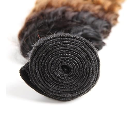 T1B430 Ombre Brown Bundles Human Hair 16 18 20 Inch Deep Wave Human Hair Bundles Ombre Bundle T1B/4/30 Brown Bundle Unprocessed Brazilian Virgin Hair for Black Women