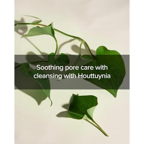 Mary&May Houttuynia Cordata + Tea Tree Deep Clean Foam (40.7% Heartleaf + 6.8% Tea Tree) ? Rich Cream Foam Pore Cleanser with Hyaluronic Acid, Korean Face Wash for Oily Sensitive Skin ? 5.07 fl oz