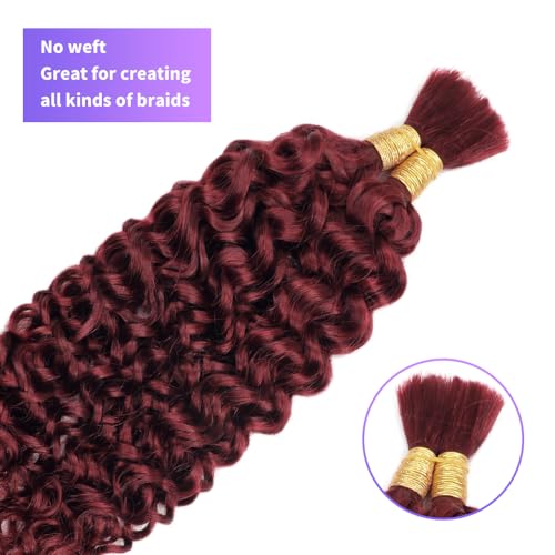 Human Braiding Hair Water Wave Bulk Human Hair For Braiding 100g (1pack-2bundles) No Weft 100% Unprocessed Virgin Human Braiding Hair For Boho Braids Water Wave Micro Braiding Human Hair 14inch #99J