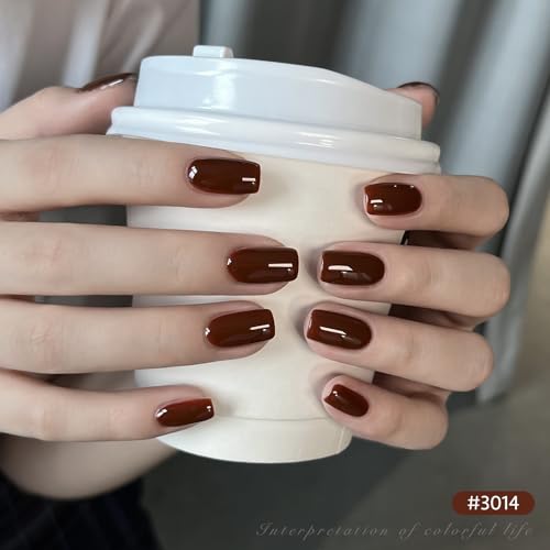 GAOY Brown Nude Gel Nail Polish Set - 6 Fall Colors DIY Manicure Kit
