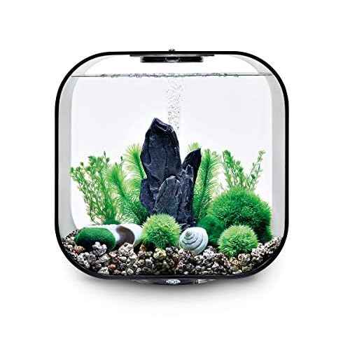 BiOrb Decor Set ? 30L Stone Garden, Medium