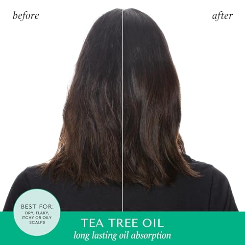 HASK Tea Tree Invigorating Dry Shampoo for Oily, Itchy Scalps ? Absorbs Oil, Rebalances Scalp, Hypoallergenic, No Sulfates or Parabens, Cruelty-Free ? 8.1oz