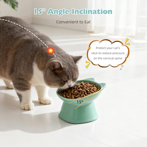 KSIA Klear Elevated Cat Bowls 2 Pack Green - Tilted 15° Raised Food & Water Bowls