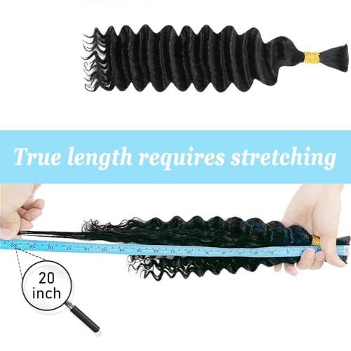 Honey Blonde Human Braiding Hair 24 Inch 2 Bundles